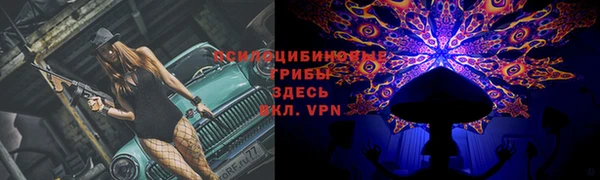 гидра Лиски
