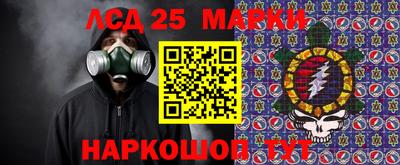 индика Дубна