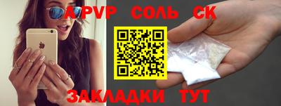 индика Дубна