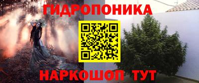 индика Дубна