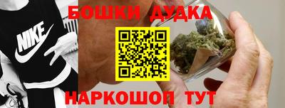 индика Дубна
