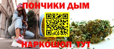 индика Дубна