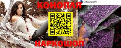 индика Дубна