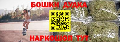 индика Дубна