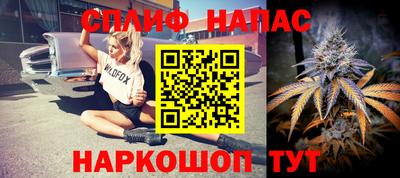 индика Дубна