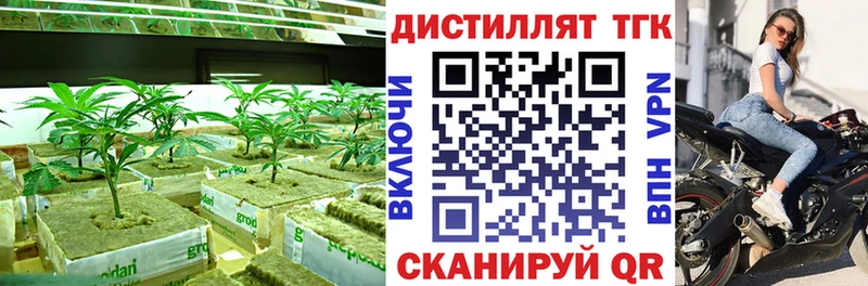наркота Новоалександровск ТГК концентрат