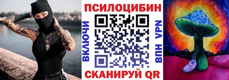 shop телеграм  Новоалександровск  hydra ССЫЛКА  Псилоцибиновые грибы Psilocybine cubensis  купить  