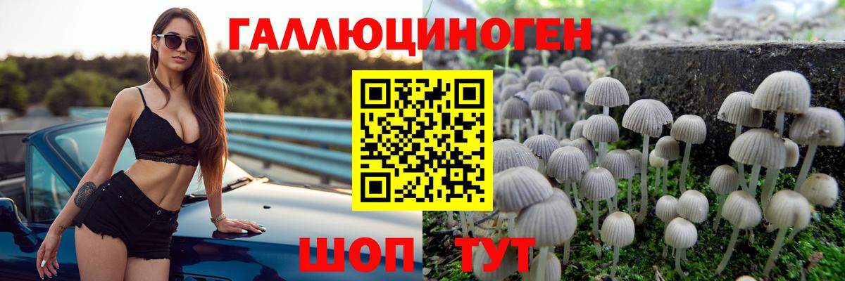 Галлюциногенные грибы Psilocybe  Вход с VPN  Новоалександровск 